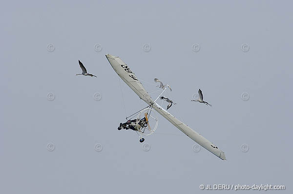 Liege Airport - hlidays